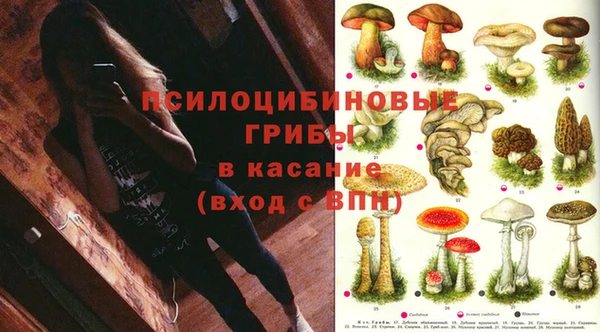 мяу мяу мука Новодвинск