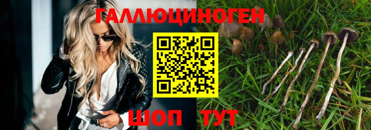 Псилоцибиновые грибы мицелий Первоуральск